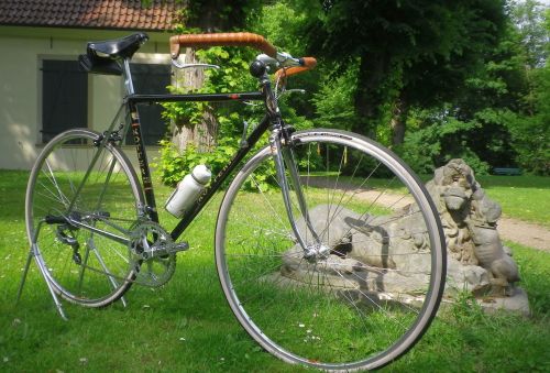 1206 00 Kotter HMD 03