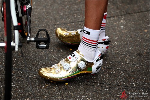 8020862675_318b4f647f_c