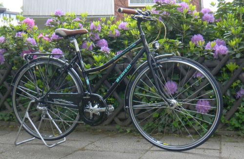 1306 Bianchi Spillo Midori im Aufbau 01