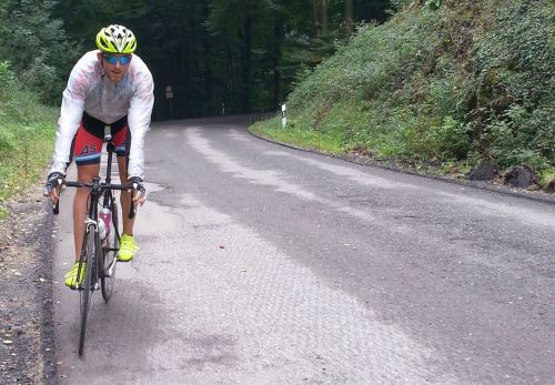 1309 Osnabrück HL 13