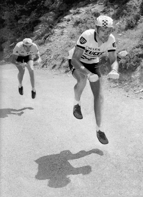 1382064_177970575740948_1256196216_n