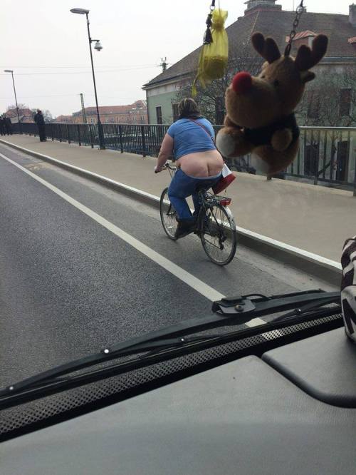 11083646_804438412959054_715092861369700091_n