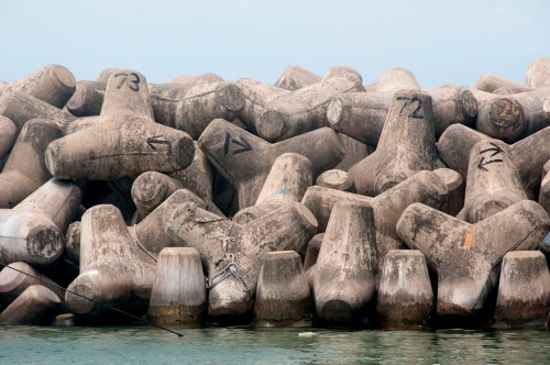 tetrapods