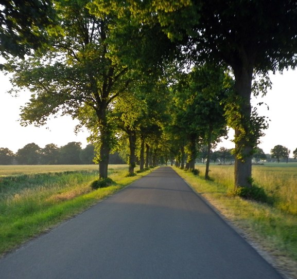 1406 Bremer Süden 04