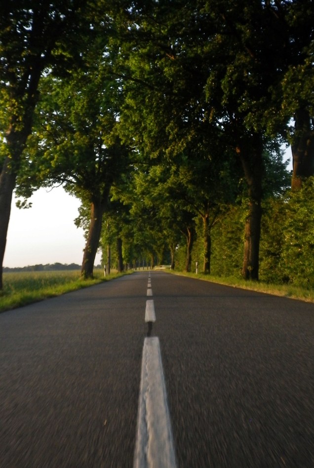 1406 Bremer Süden 06