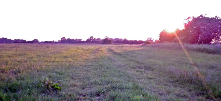 1406 Bremer Süden 07