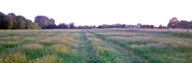 1406 Bremer Süden 08