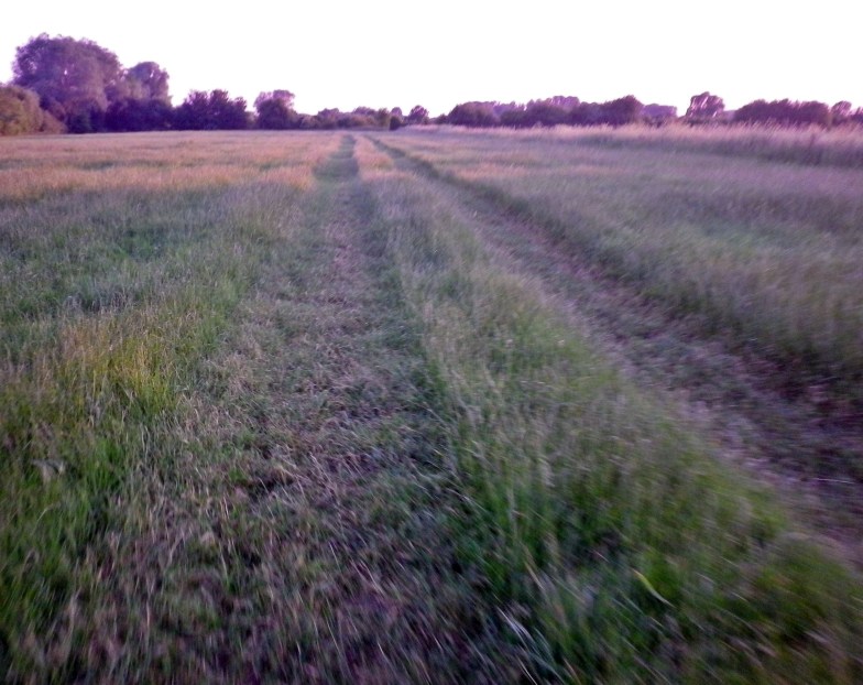 1406 Bremer Süden 09