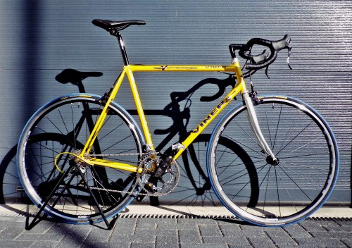 1506 Viner Black Viper 02