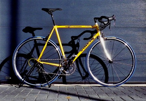 1506 Viner Black Viper 04