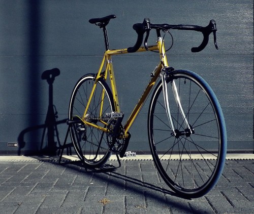 1506 Viner Black Viper 13