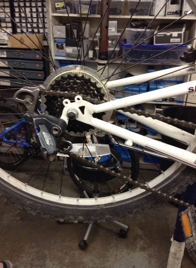 11742893_963593110350539_4960773764080032755_n