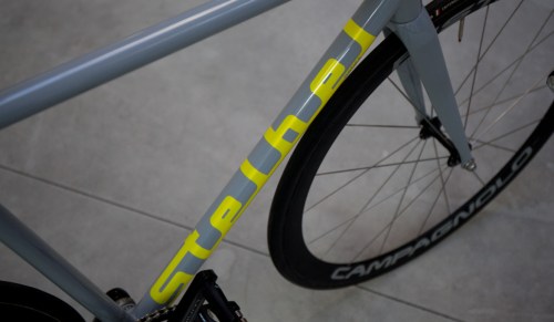 Ortica-new-logo-1170x682